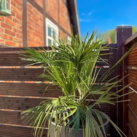 Διαμέρισμα Pauernhof